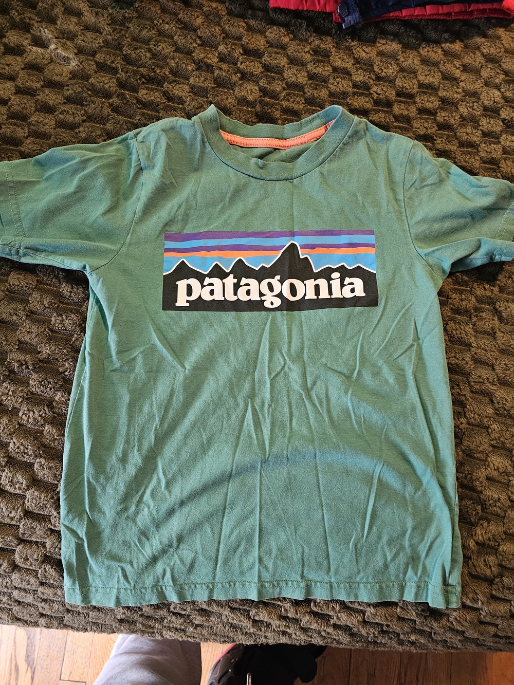 Patagonia Teal Kids Short-Sleeve Logo Tee